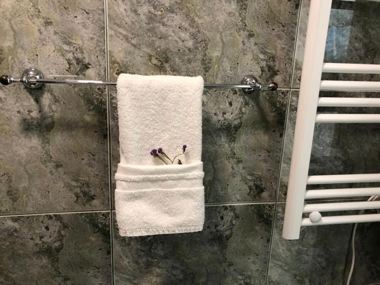 Comfort Apartment In City Center تيرانا المظهر الخارجي الصورة